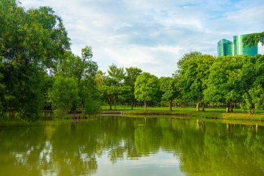 Yeşil şehir parkı nehir tropikal orman yeşil ağaç arka planı Bangkok Tayland