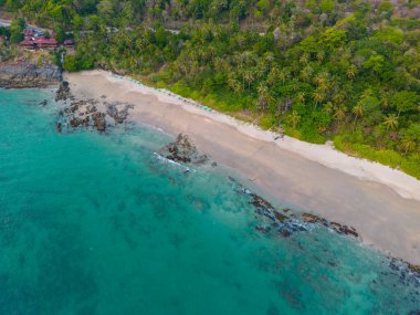 Hindistan cevizi palmiyesi ağacı yaz tatili arka planında beyaz kumsal dalgası