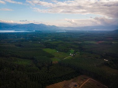 Hava manzaralı siluet dağ günbatımı. Tropikal orman gökyüzü ve bulutlu doğa manzarası.