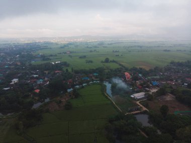 Hava manzaralı çeltik yeşil pirinç tarlası pirinç endüstrisi Tayland kırsal köyünü işletiyor