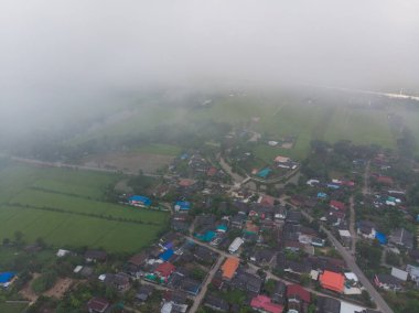 Hava manzaralı çeltik yeşil pirinç tarlası pirinç endüstrisi Tayland kırsal köyünü işletiyor