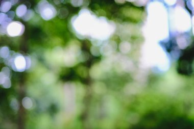 Bulanık şehir yeşil ağaç parkı. Parlak güneş ışığı. Tazelik.