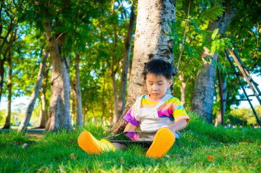 Şehir parkında ağacın altında oturan sevimli anaokulu çocuğu yeşil çimen gün batımında tablet bilgisayar kullanıyor.