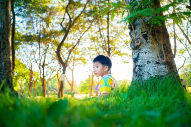 Şehir parkında ağacın altında oturan sevimli anaokulu çocuğu yeşil çimen gün batımında tablet bilgisayar kullanıyor.