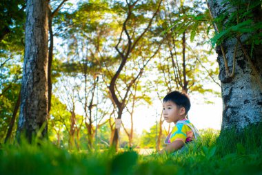 Şehir parkında ağacın altında oturan sevimli anaokulu çocuğu yeşil çimen gün batımında tablet bilgisayar kullanıyor.
