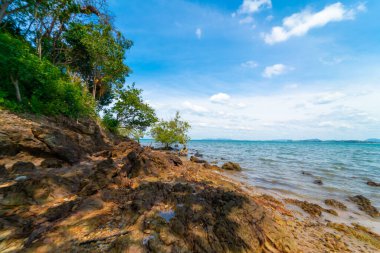 Denizde tropikal ağaç ormanı. Kayalık plaj. Mavi gökyüzü ve bulutlu doğa manzarası.