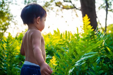 Küçük Asyalı çocuk şehir parkında gün batımında eğleniyor.