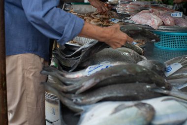 Çeşitli deniz ürünleri yerel balıkçılık taze pazarında satılıyor Bangkok Tayland