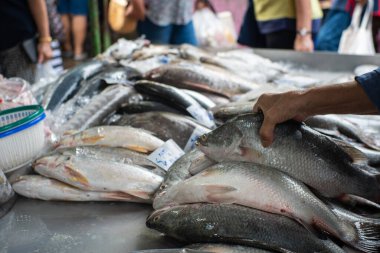 Çeşitli deniz ürünleri yerel balıkçılık taze pazarında satılıyor Bangkok Tayland