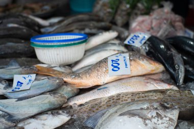 Çeşitli deniz ürünleri yerel balıkçılık taze pazarında satılıyor Bangkok Tayland