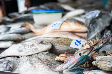 Çeşitli deniz ürünleri yerel balıkçılık taze pazarında satılıyor Bangkok Tayland