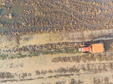 Çeltik pirinç tarlasında çalışan hava manzaralı traktör.