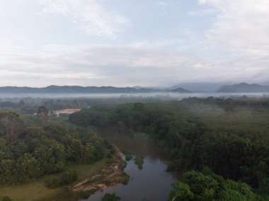 Doğa manzaralı hava manzaralı nehir tropikal orman sabah sisi yükselen gökyüzü bulutu