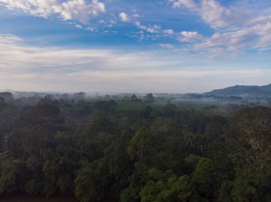 Doğa manzaralı hava manzaralı nehir tropikal orman sabah sisi yükselen gökyüzü bulutu