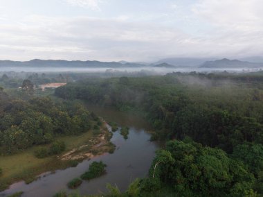 Doğa manzaralı hava manzaralı nehir tropikal orman sabah sisi yükselen gökyüzü bulutu