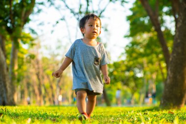 Yeni yürümeye başlayan Asyalı 2 yaşındaki çocuk yeşil çimlerde yürümenin keyfini çıkarıyor.