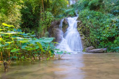 Tropikal ormanda inanılmaz bir şelale. Güneş ışığı yeşil ağaç üzerinde. Doğa manzarası Phayao Tayland.
