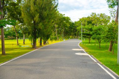 Yol boyunca yürü yeşil tropikal ağaç ormanı doğa halk parkı yağmur mevsimi