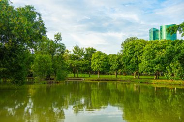 Yeşil şehir parkı nehir tropikal orman yeşil ağaç arka planı Bangkok Tayland