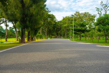 Yol boyunca yürü yeşil tropikal ağaç ormanı doğa halk parkı yağmur mevsimi