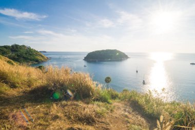 Sarı çimlerde gün batımı deniz plajı mavi gökyüzü arka plan yaz kavramı