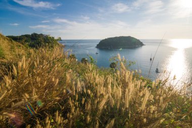 Sarı çimlerde gün batımı deniz plajı mavi gökyüzü arka plan yaz kavramı