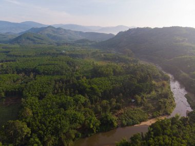 Hava manzaralı yeşil tropikal yağmur ormanı nehir dağı güneş doğuyor doğa manzarası