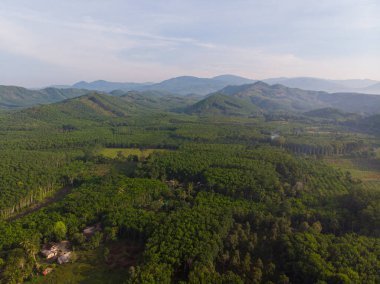 Hava manzaralı yeşil tropikal yağmur ormanı nehir dağı güneş doğuyor doğa manzarası