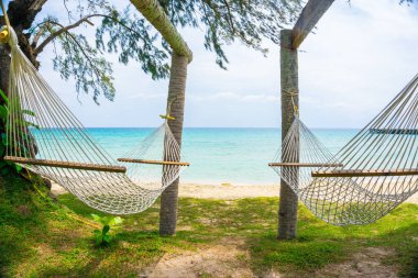 Beyaz beşik, deniz kıyısında yaz tatilinde palmiye ağacı.