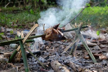 Kamp ormanında ateşte kızarmış tavuk, ızgara tavuk.