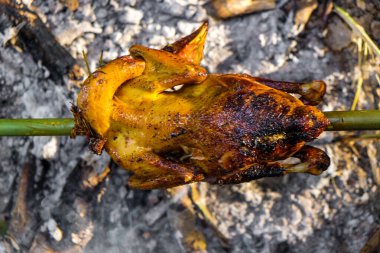 Kamp ormanında ateşte kızarmış tavuk, ızgara tavuk.