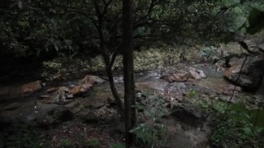 Kegon şelale sonbahar ormandaki Nikko Japonya