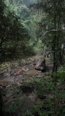 Kegon şelale sonbahar ormandaki Nikko Japonya