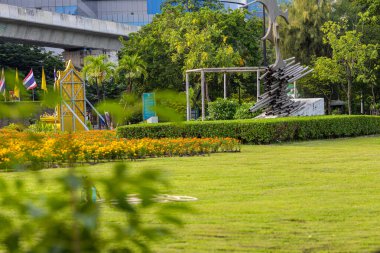 Şehir parkında yeşil çayır çimenleri Sabah aydınlığı doğa manzarası