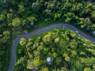 Tropikal yağmur ormanlarındaki asfalt kırsal yol yeşil ağaç doğa taşımacılığı arka plan görüntüsü