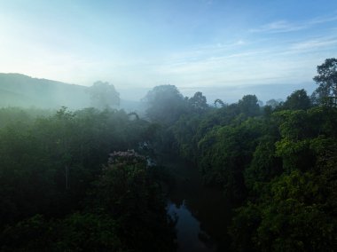 Hava manzaralı tropikal yağmur ormanı nehri sabah güneşi sisli doğa manzaralı