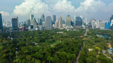 Lumpini yeşil ağaçlı modern şehir binası halka açık park havadan Bangkok Tayland manzaralı
