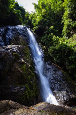 Yeşil yağmurlu ağaç manzaralı derin tropikal yağmur ormanlarında şelale.