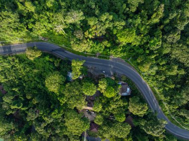 Tropikal yağmur ormanı dağ taşımacılığı üzerindeki hava manzaralı nakliye yolu doğada