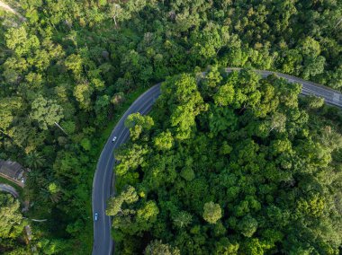 Tropikal yağmur ormanı dağ taşımacılığı üzerindeki hava manzaralı nakliye yolu doğada