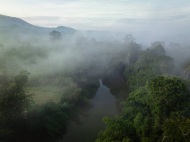Tropikal yağmur ormanı sabah sisli nehir doğası manzaralı hava manzaralı