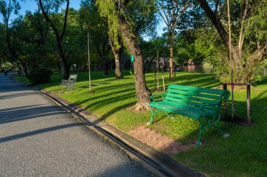 Şehir parkındaki yol. Yeşil ağaç ormanı. Gün batımı.