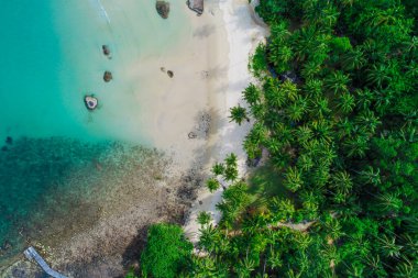 Yeşil tropikal yağmur ormanı doğası Koh Kood Tayland 'a ait havadan deniz kıyısı beyaz kum dalgası.