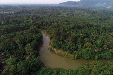 Tropikal yağmur ormanları boyunca sisli dağ manzaralı hava manzaralı nehir.