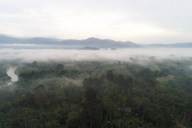 Tropikal yağmur ormanları boyunca sisli dağ manzaralı hava manzaralı nehir.