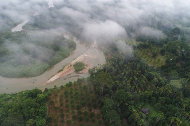 Tropikal yağmur ormanları boyunca sisli dağ manzaralı hava manzaralı nehir.