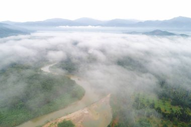 Tropikal yağmur ormanları boyunca sisli dağ manzaralı hava manzaralı nehir.