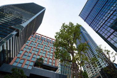 Modern ofis binası olan yeşil ağaç parkı Alacakaranlık Bangkok Tayland 'da yükseliş manzaralı