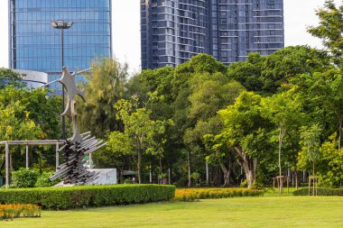 Şehir parkında yeşil çayır çimenleri Sabah aydınlığı doğa manzarası