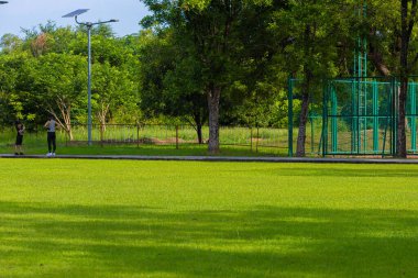 Şehir parkında ağaç ormanı olan yeşil çayır güneşli gün manzarası